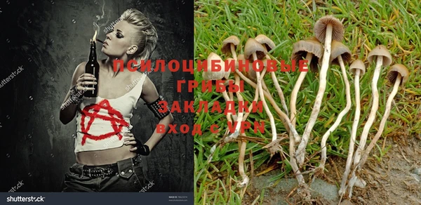 кокаин колумбия Алексин