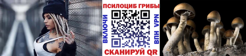 Галлюциногенные грибы Cubensis Лермонтов